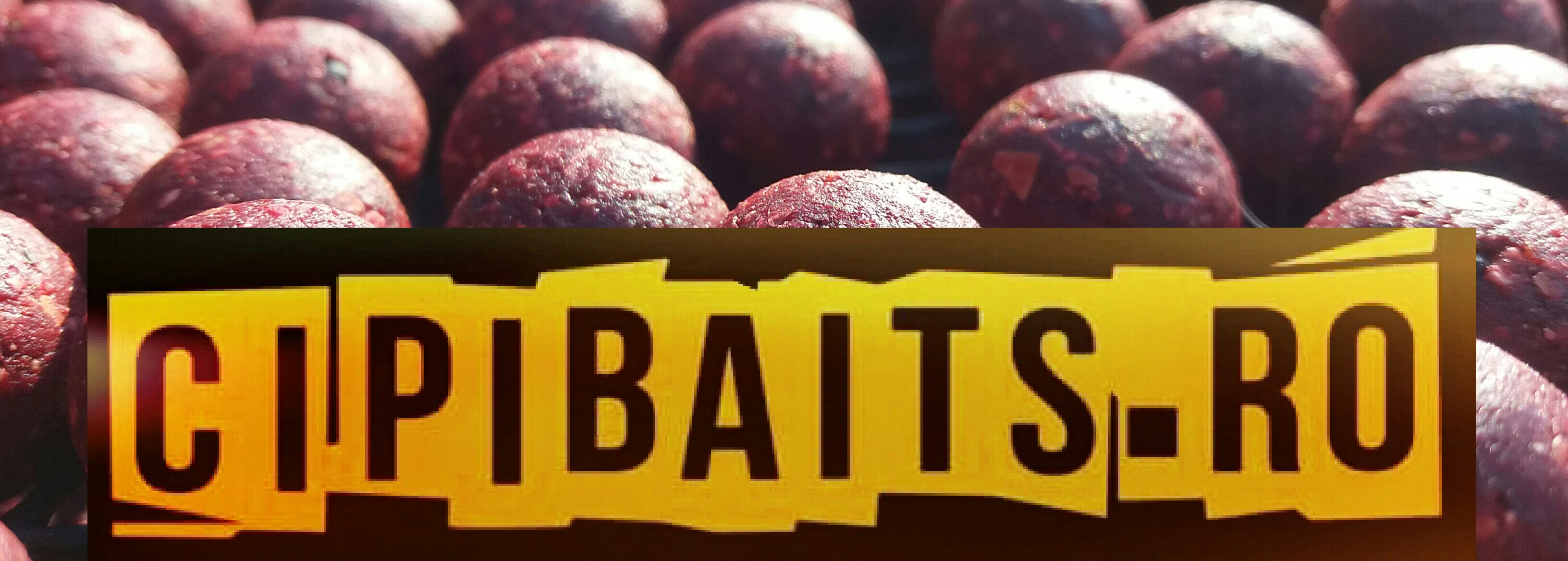 cipibaits.ro     Momeli Profesionale