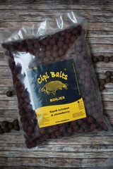 www.cipibaits.ro